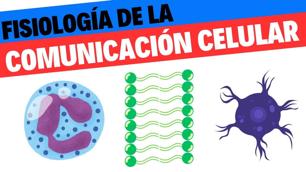 Fisiología de la comunicación celular. Fisiología/ Neurociencias 1