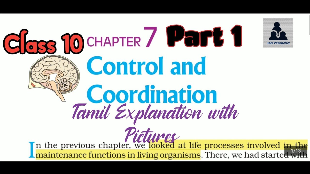 NCERT - Class X - Science -  7.Control & Coordination - Part 1 -Tamil Explanation with Pictures