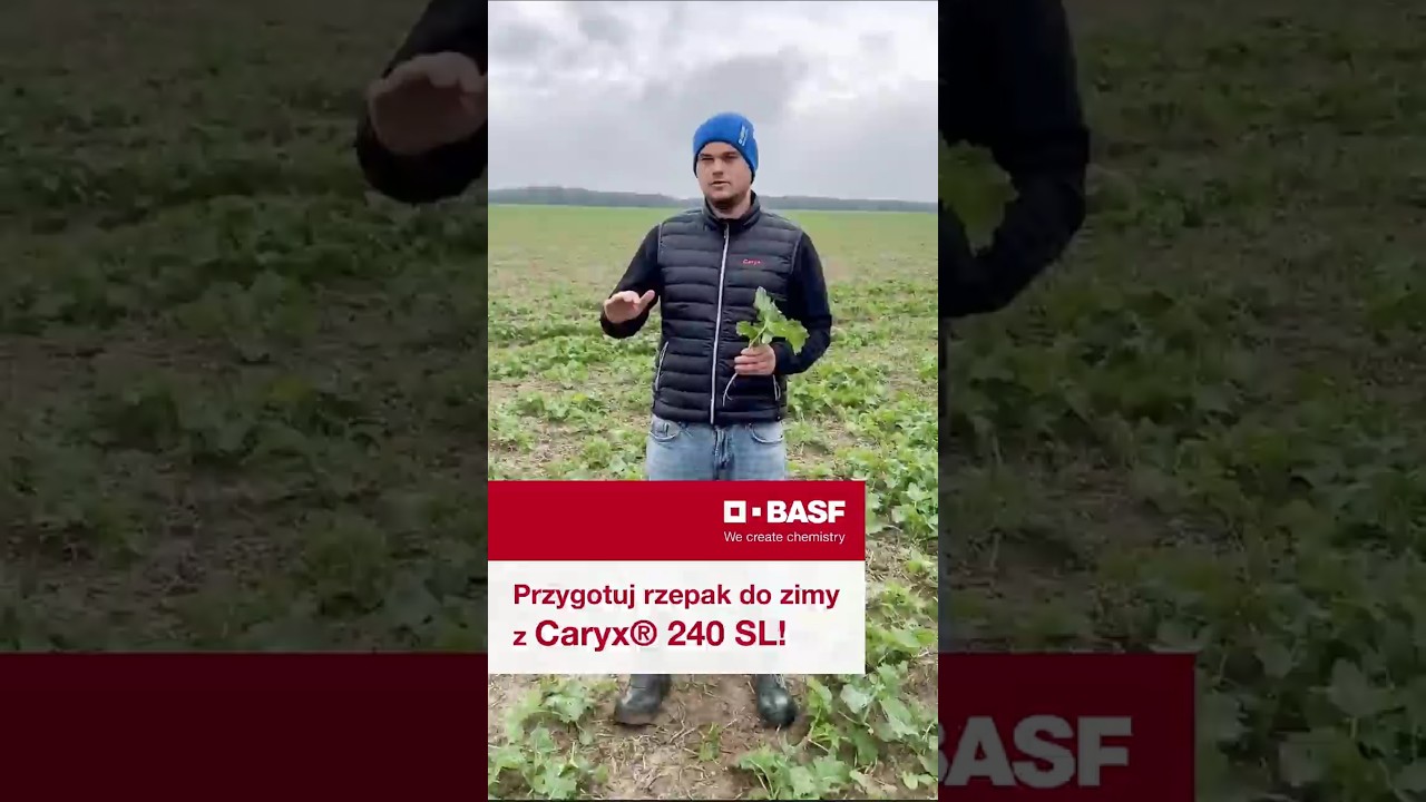 Jaki produkt wybrać do ochrony rzepaku? #basfagro #basf #caryx
