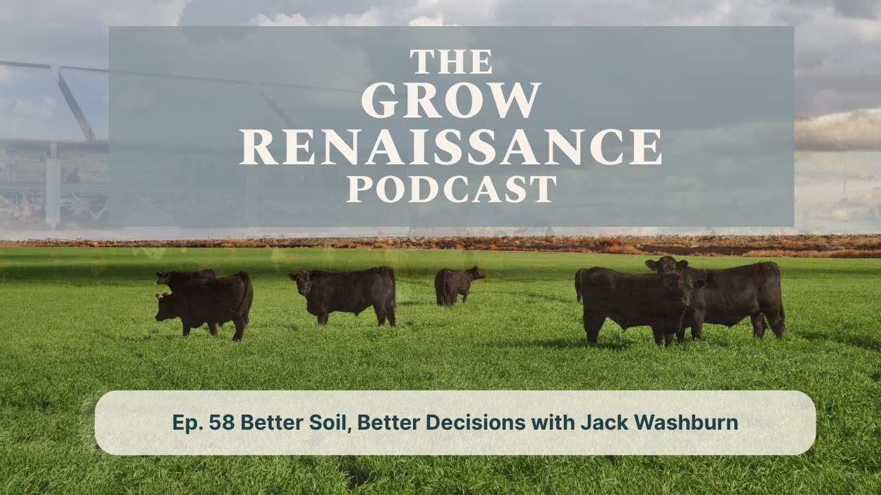 Ep. 58 | Better Soil, Better Decisions | Pasture Prime Time Series