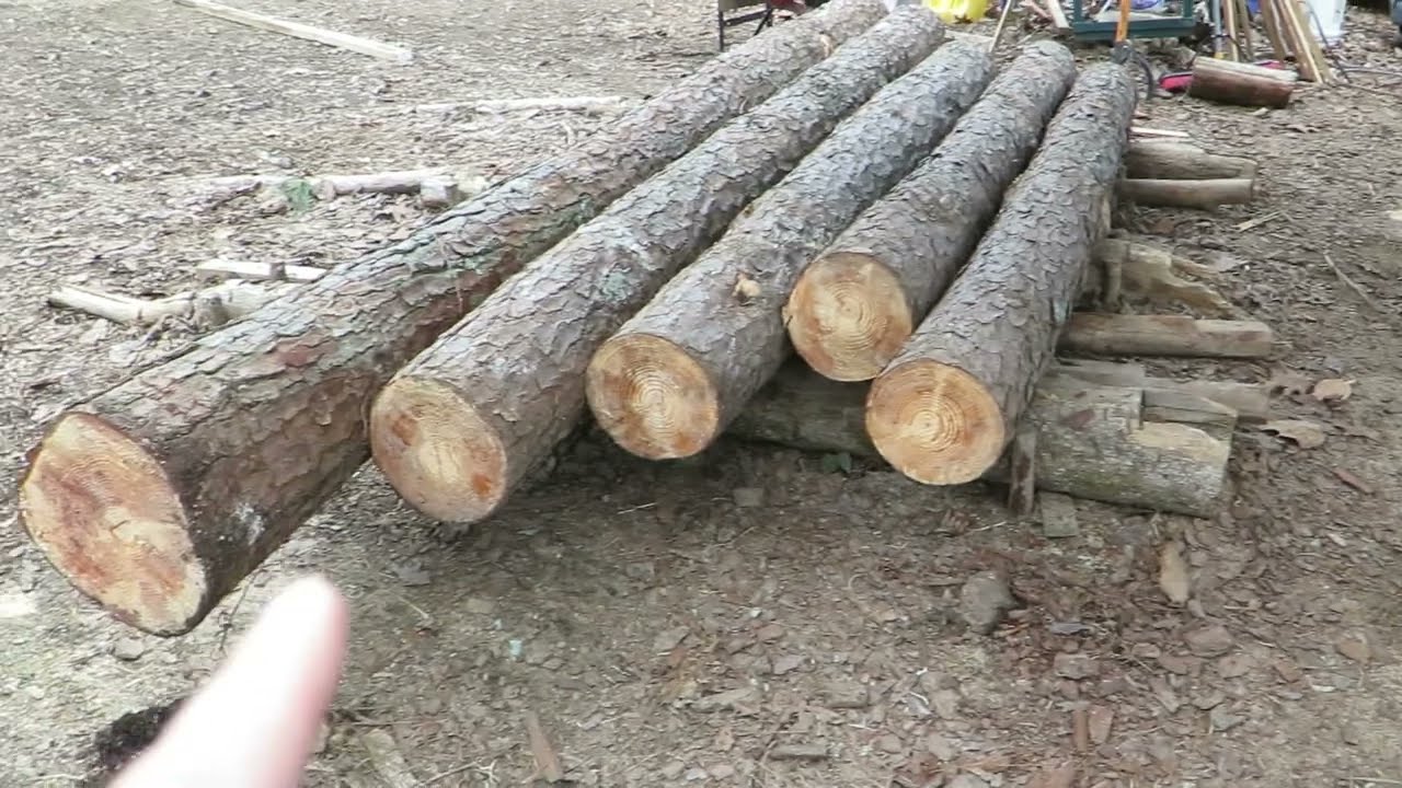 Eps.