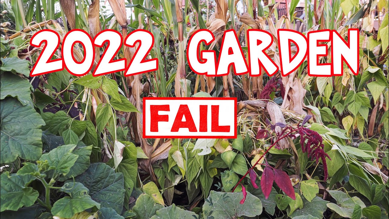 2022 Garden Fails