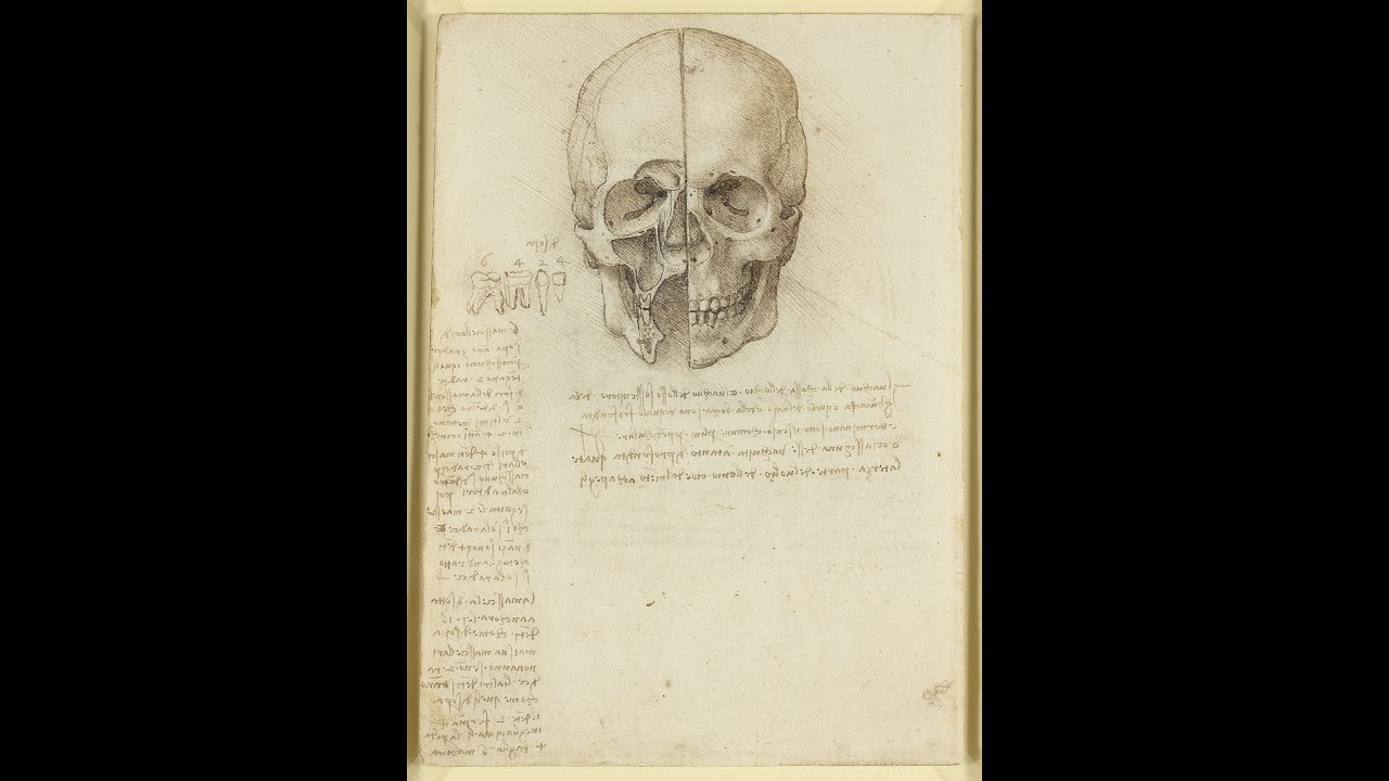 Leonardo da Vinci: Anatomist