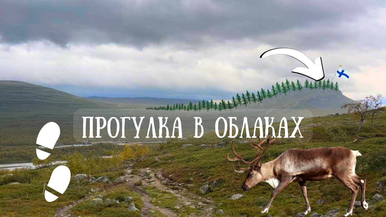 Туманная Saana: В облаках Лапландии