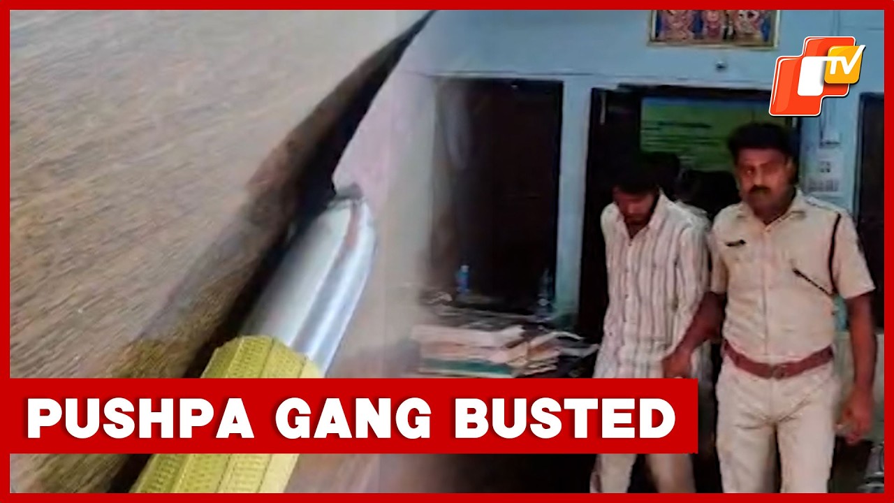 Bhubaneswar’s ‘Pushpa Gang’ Busted; 4 Dacoits Held | OTV