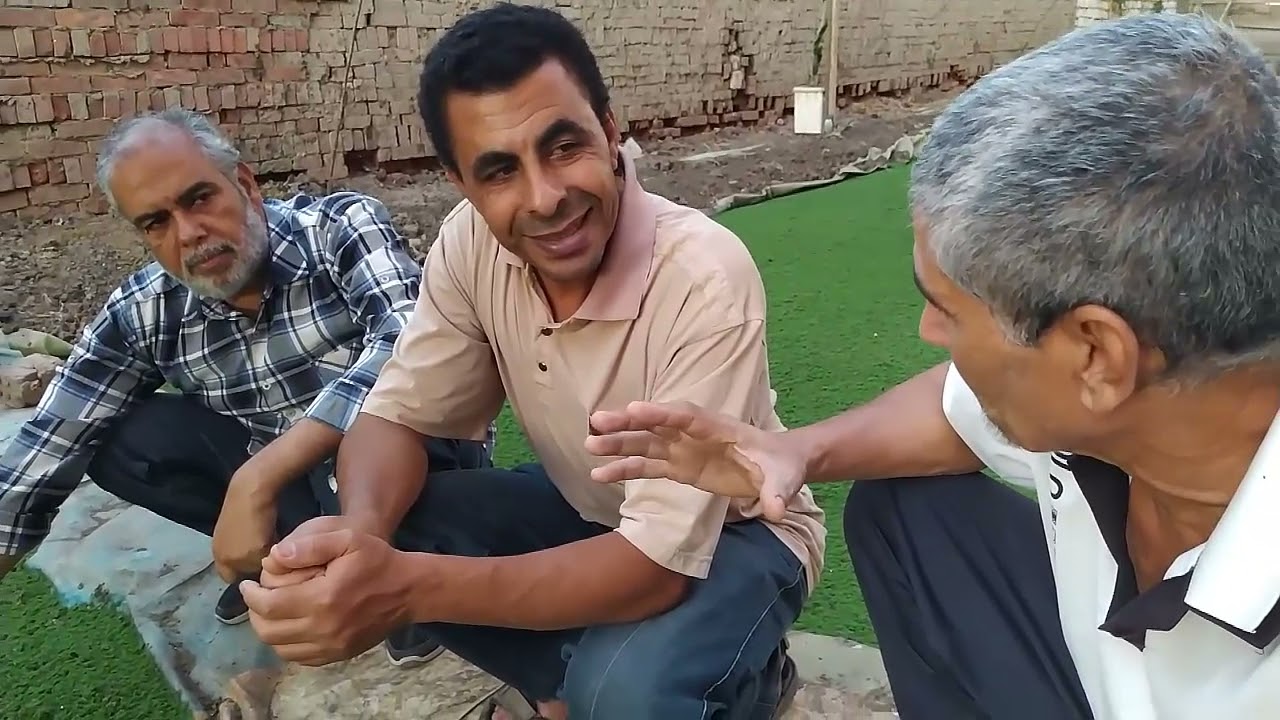 التقاوي والتسميد العضوي للأزولا Seeds and Organic fertilization Of azolla