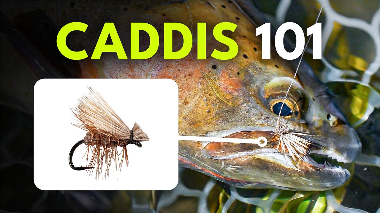 How To Match the Hatch with Caddis — Fly Selection Tips | Episode 8