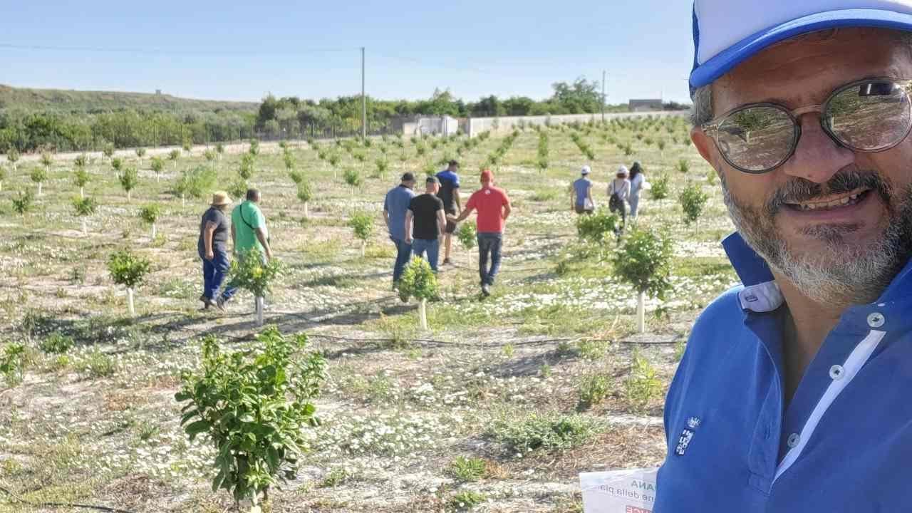 BERGAMOTTO: POTATURA DI FORMAZIONE E 