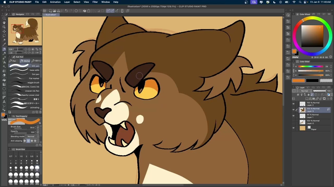 let's all look perturbed and not tell sunstar