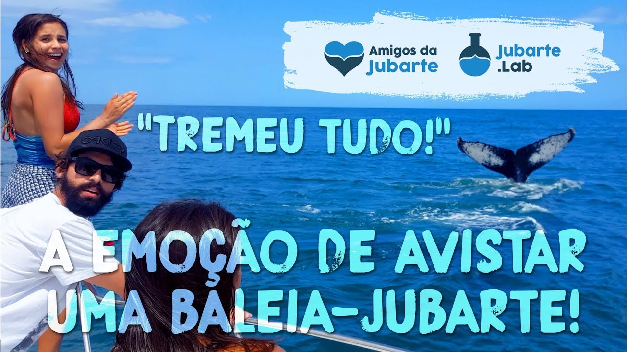 Tremeu tudo! A emo&ccedil;&atilde;o de encontro bem pr&oacute;ximo com as baleias-jubarte / PROJETO AMIGOS DA JUBARTE