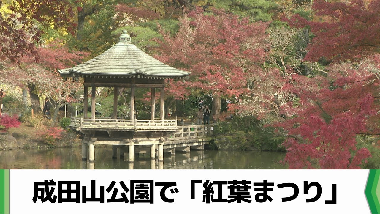 成田山公園で恒例の「紅葉まつり」　２２日からの３連休にかけ見頃ピーク（2025.11.17放送）