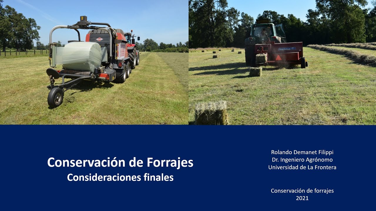 Conservación de forrajes