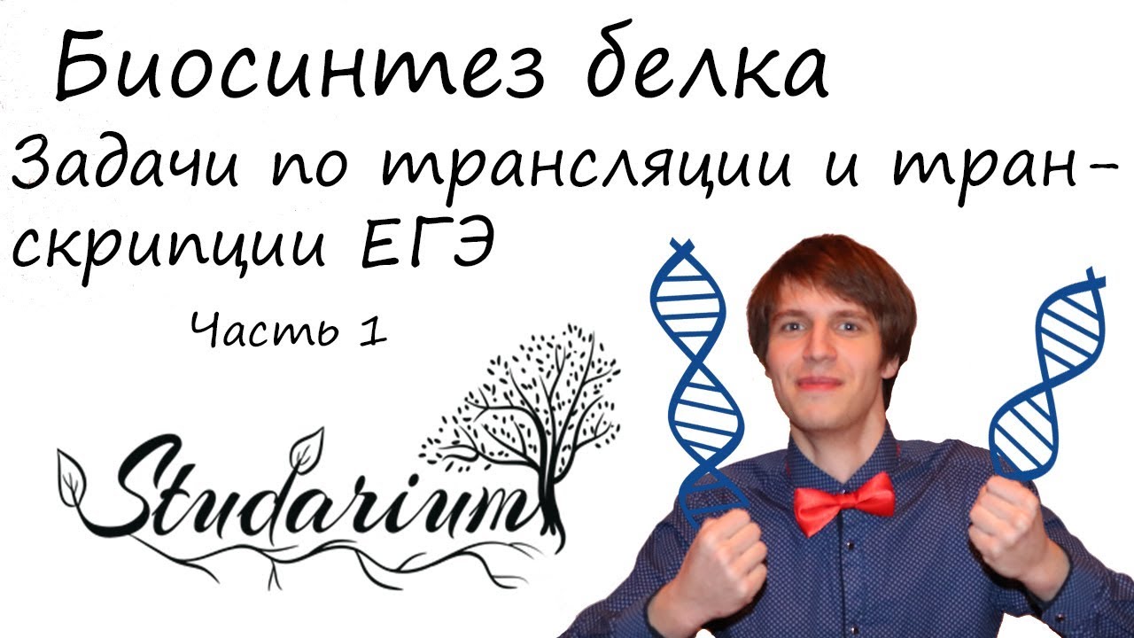 Задачи по биосинтезу белка. Трансляция и транскрипция. Часть 1