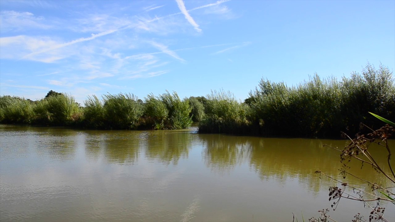 DIGGER LAKES WILLAND, CULLOMPTON, DEVON