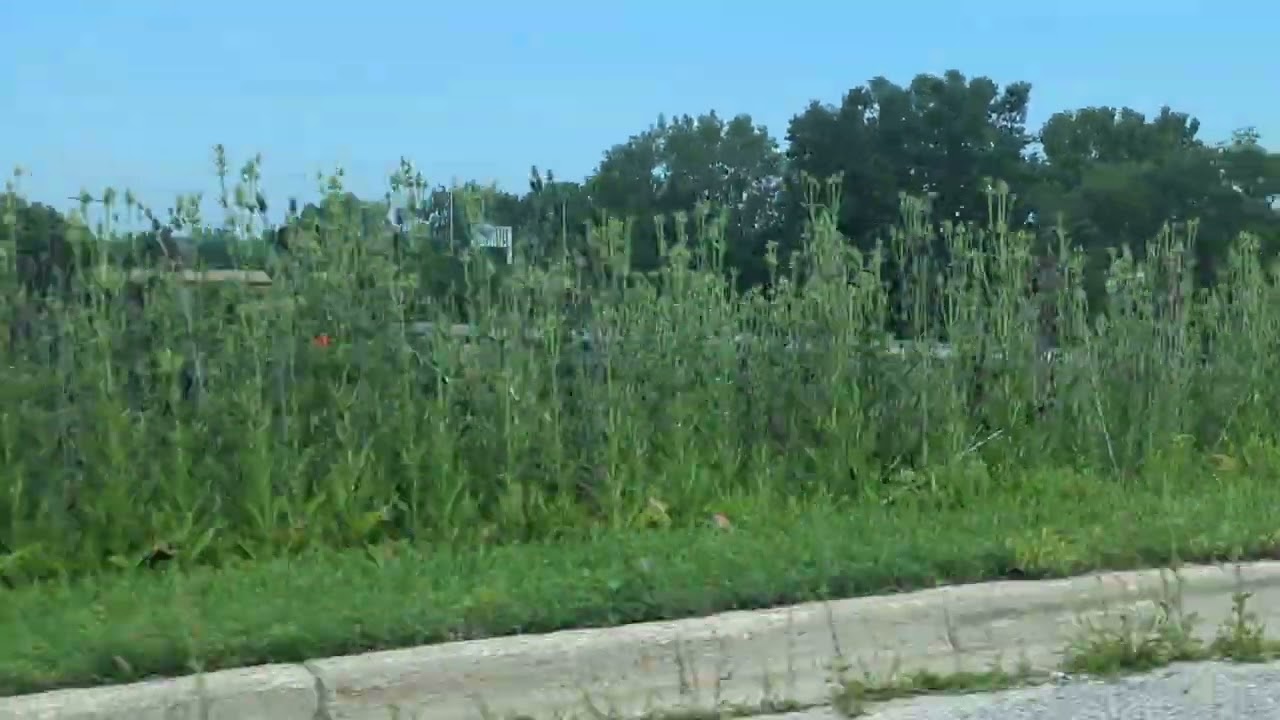 MDW2209 is 405 today leaving Schaumburg metra station. Caught this from the highway area 