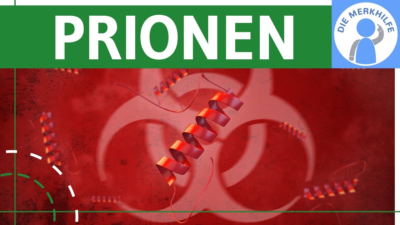 Prionen - Krankheitserreger - Proteine einfach erklärt - Schäden & Anormale Konformation - Genetik