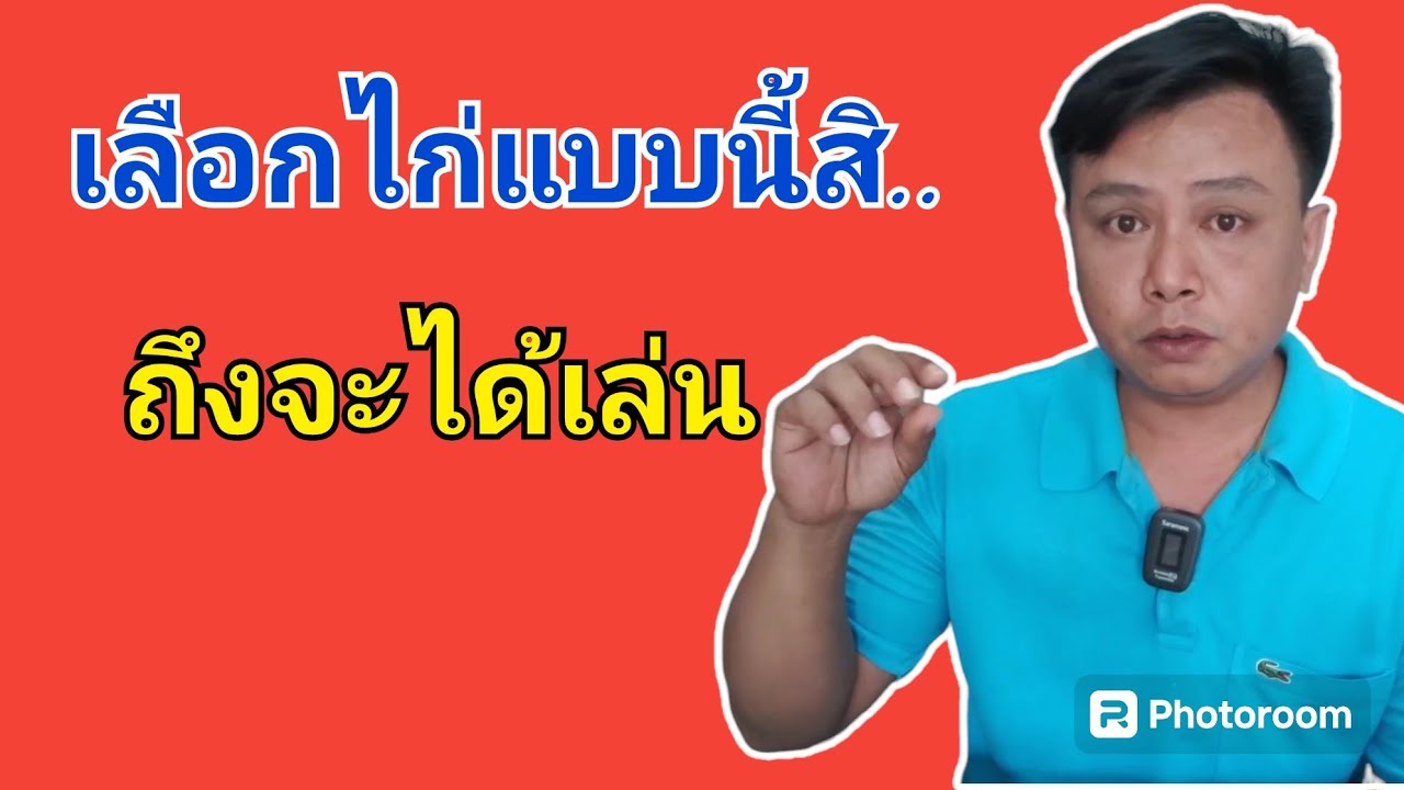 เลือกไก่แบบไหนถึงจะได้เล่น