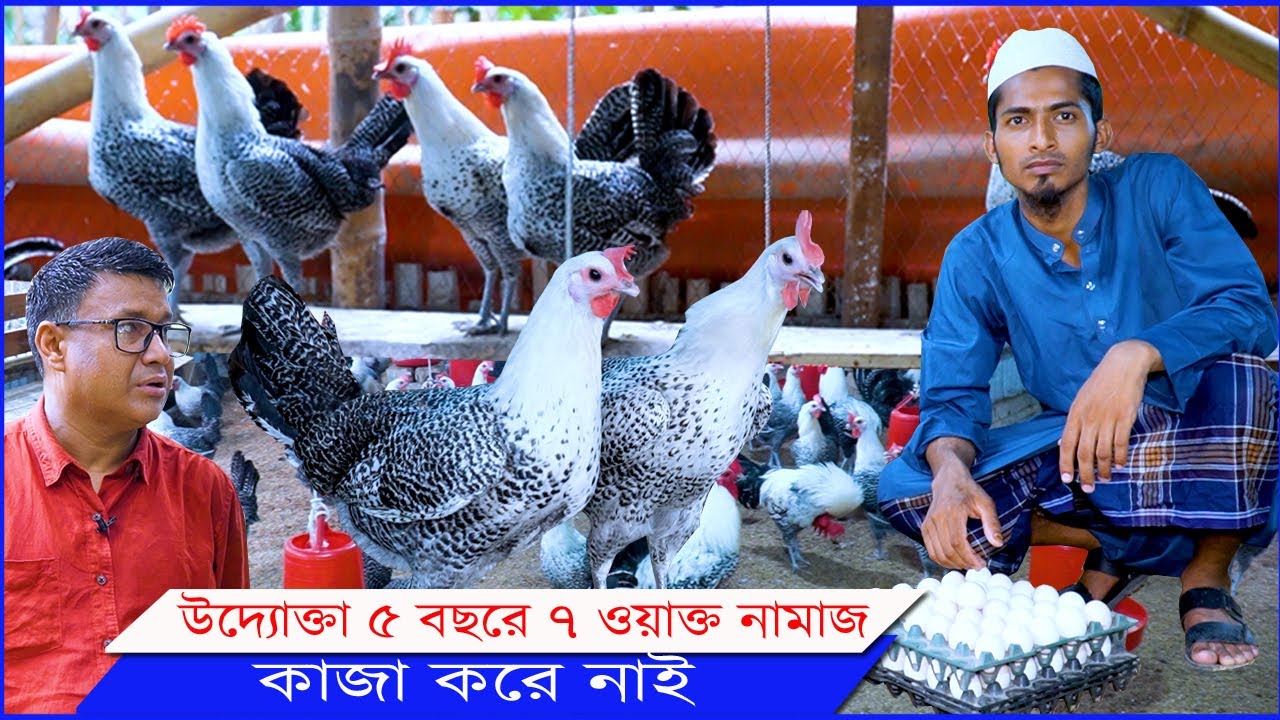 ফাউমি মুরগি লস হওয়ার গুরুত্বপূর্ণ কিছু তথ্য দিলেন নড়াইলের তরুণ খামারি আকরাম মোল্লা