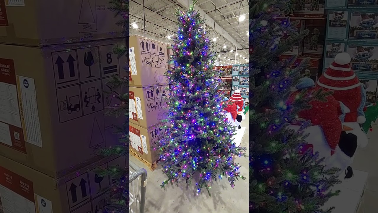 Costco&rsquo;s First Christmas Tree 2025! 7.5ft Prelit Micro LED Twinkle Lights Reveal