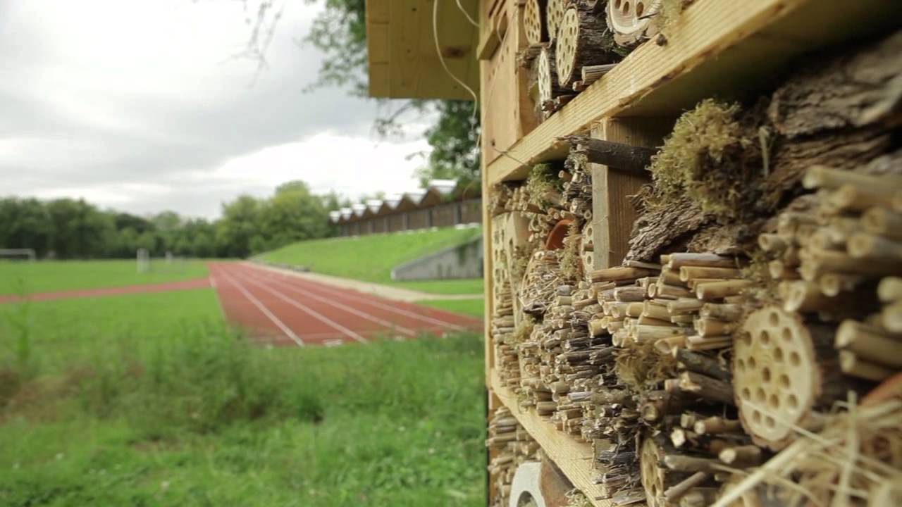 Lycées éco-responsables: à Savigny-sur-Orge, Corot se met au vert