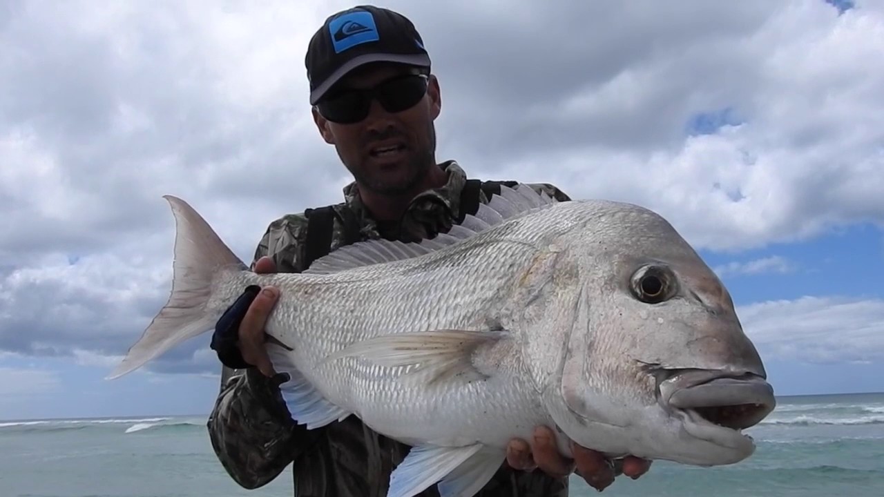 SURFCASTING NZ