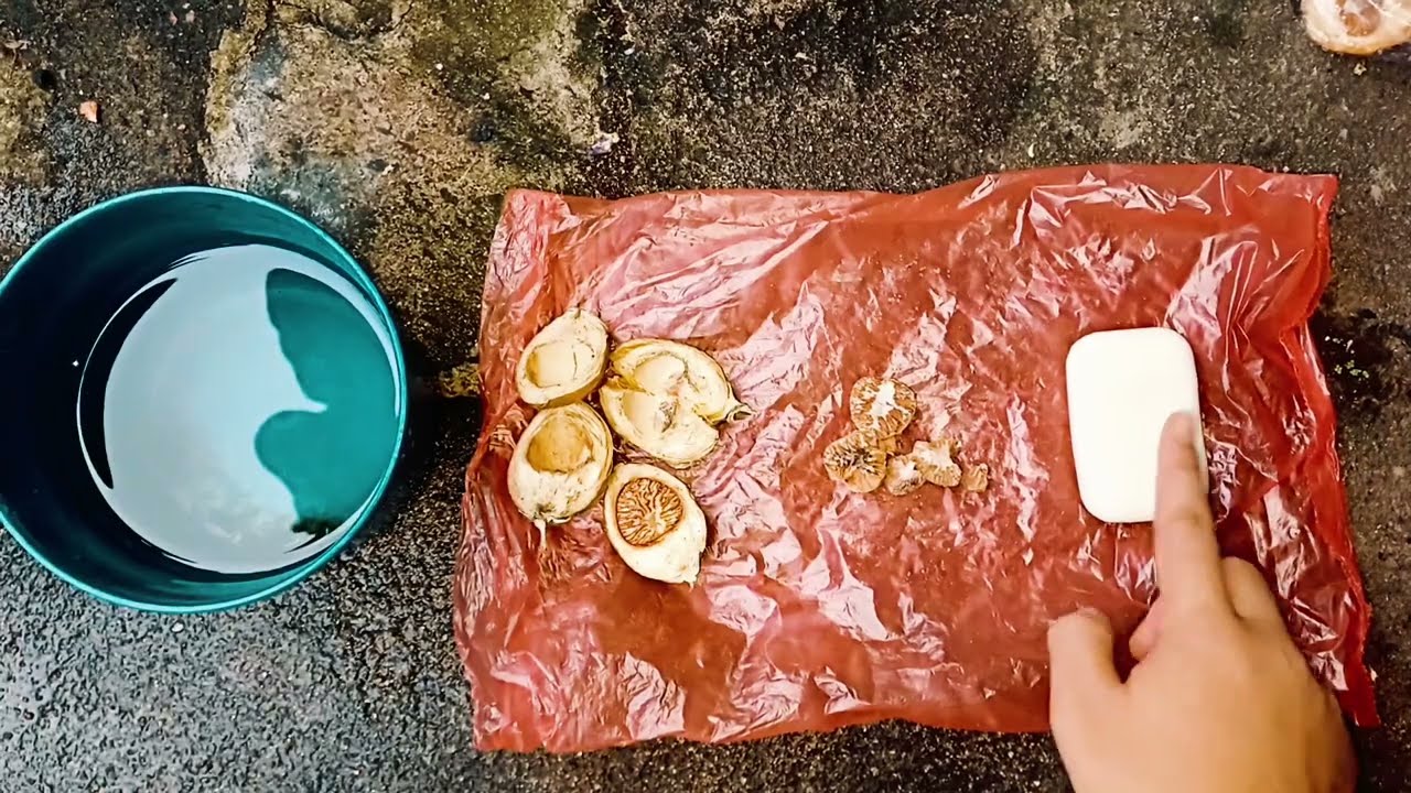 Inovasi Produk Unggulan Desa Tanjung Agas: Sabun Ekstrak Biji Pinang | KKN Kelompok 34