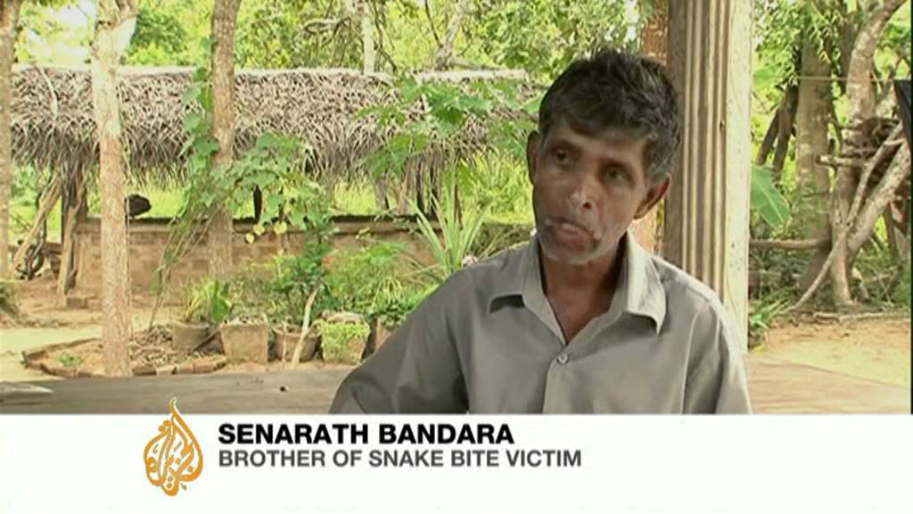Sri Lanka's deadly snake bite burden