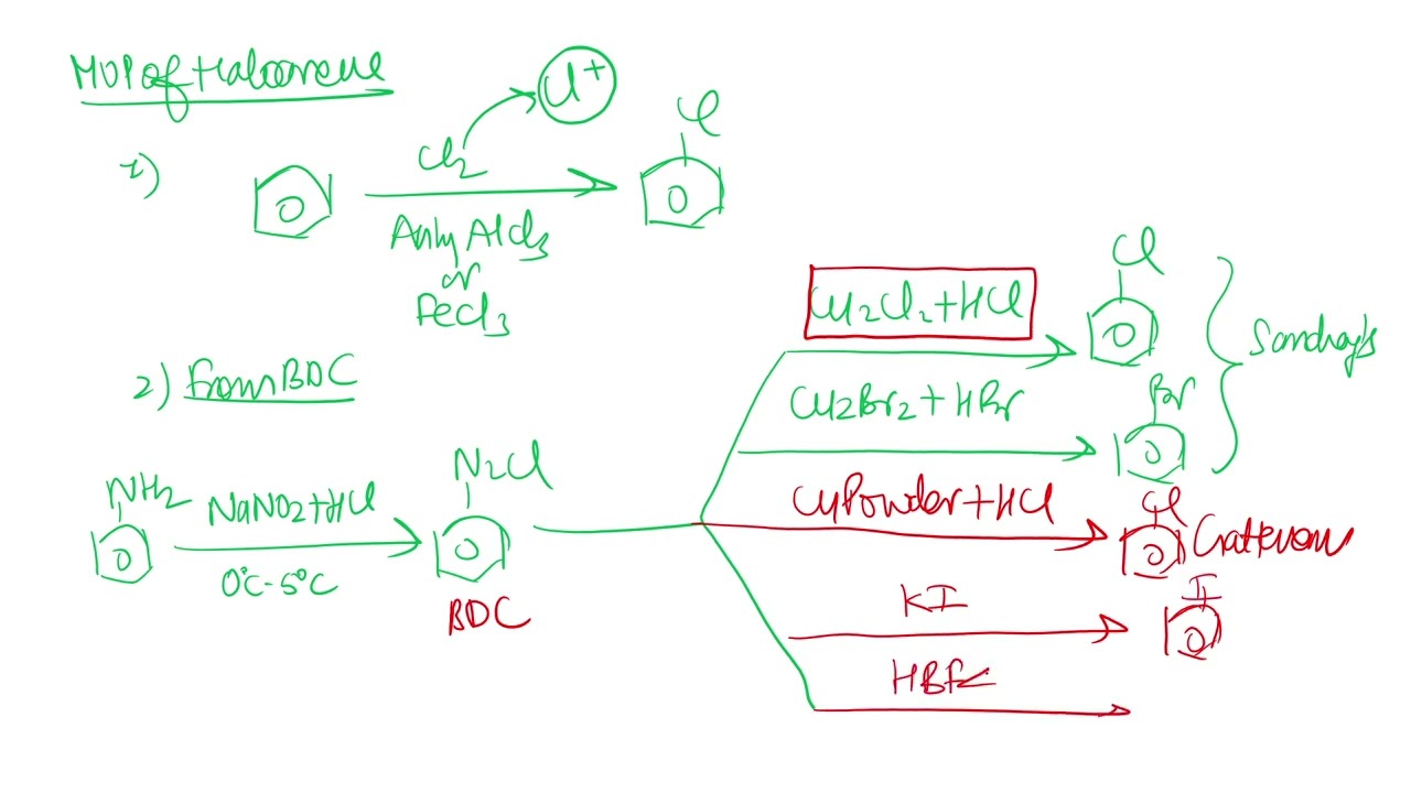 Haloalkanes and Alcohols One Shot