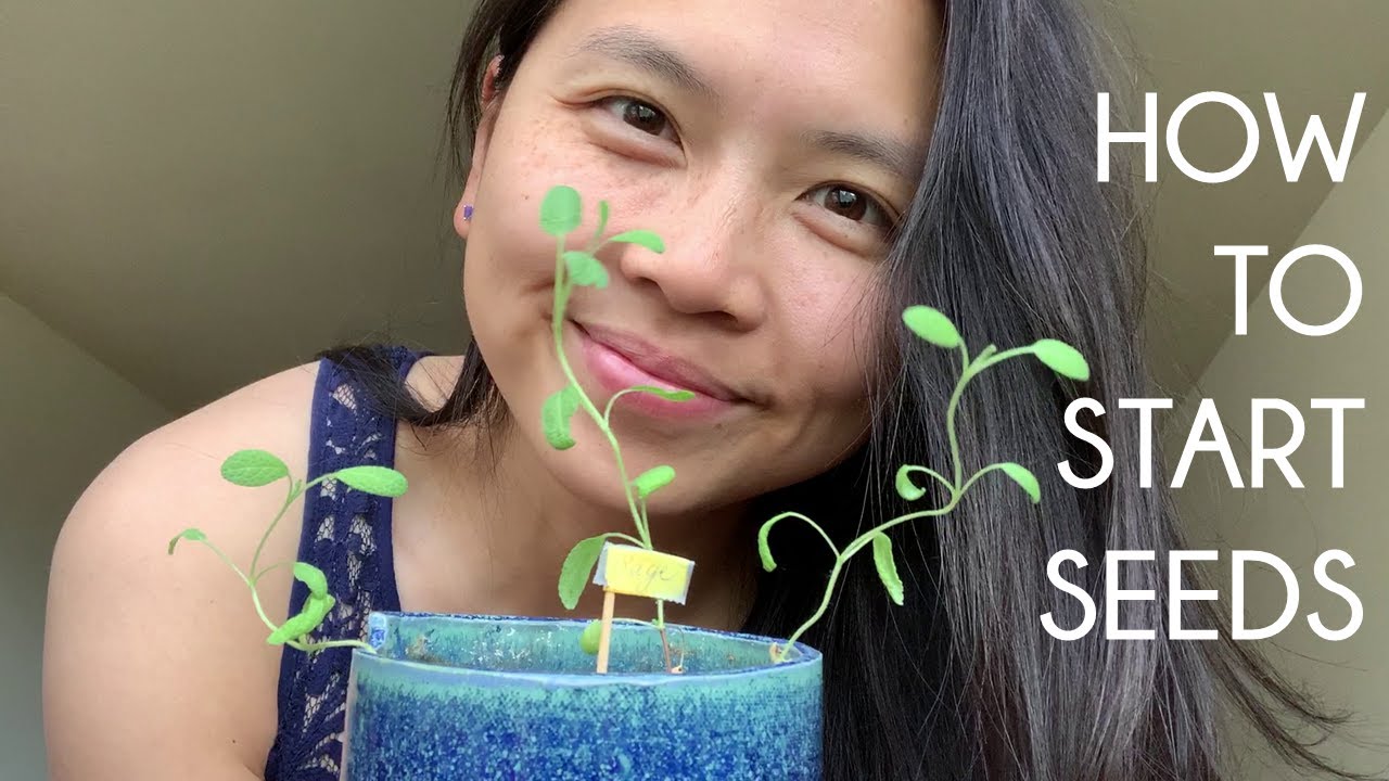 SEEDLING 101 | How to Start Seeds | GERMINATION