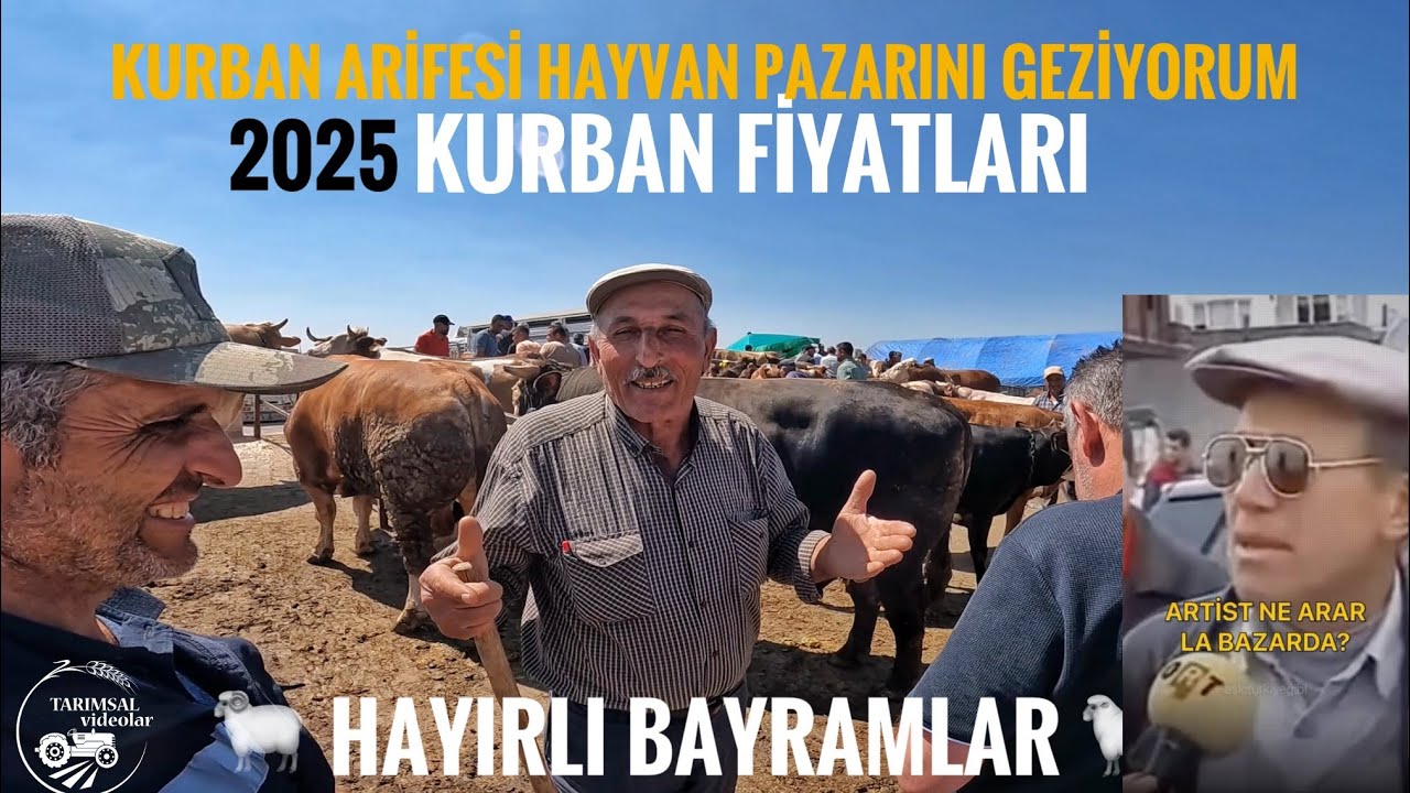 2025 YOZGAT YERKÖY KURBAN BAYRAMI HAYVAN PAZARINI GEZİYORUM.