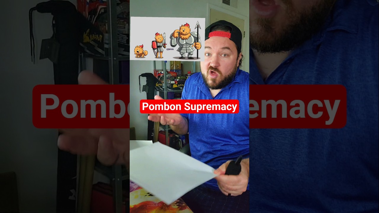 Помбон покорил мое сердце и завоевал интернет #pokemon #pokemoncommunity #gaming #dr_fresh #pombon