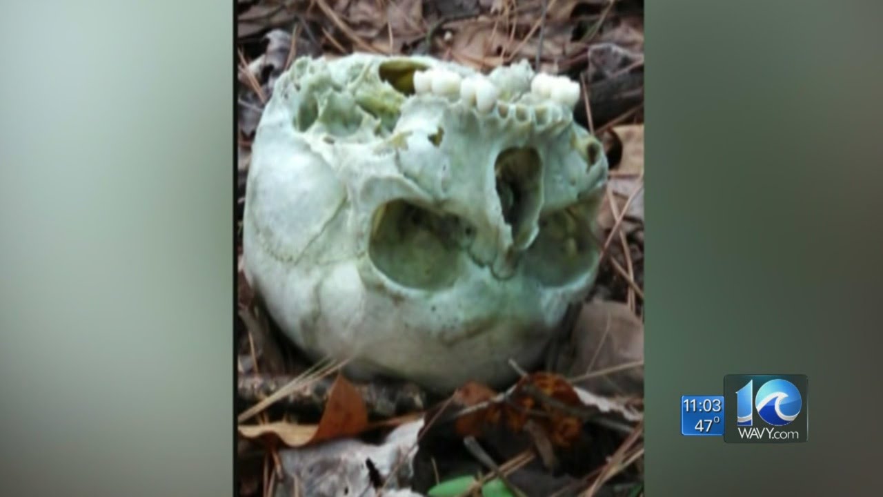 Human remains found in Gloucester