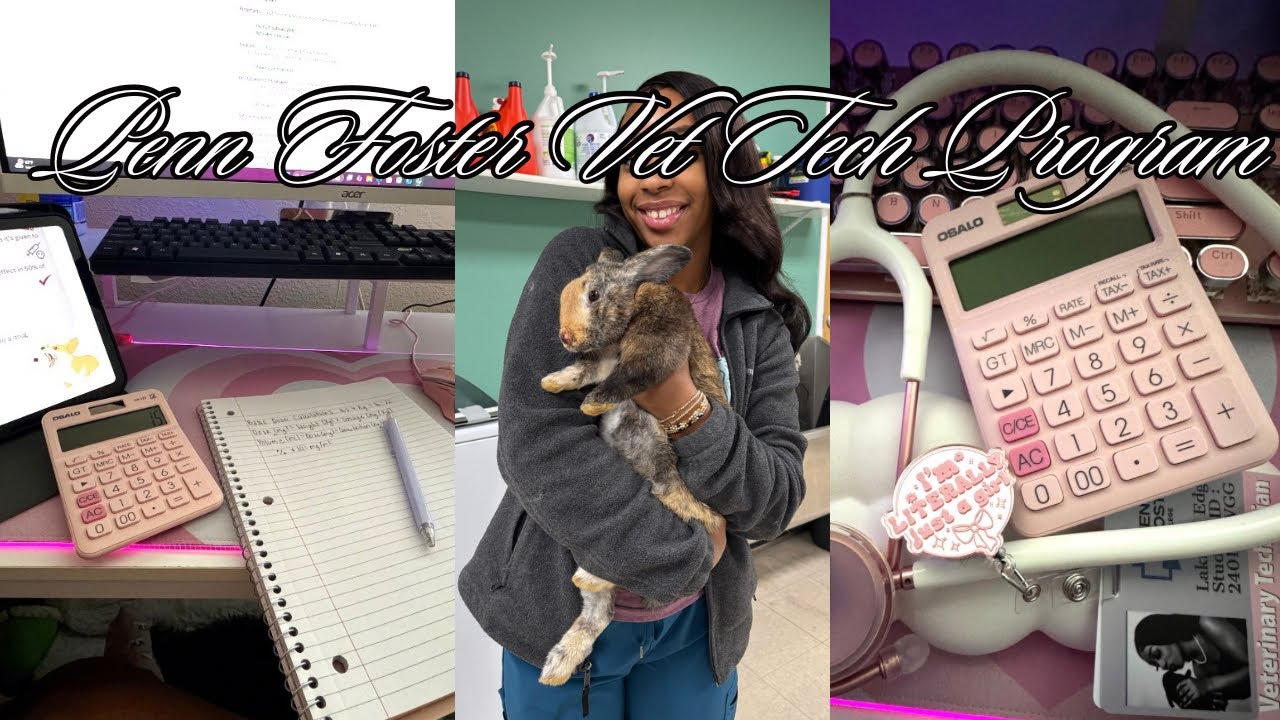 MY PENN FOSTER EXPERIENCE | Vet med talk 🐾| Semester 1 & 2 Review 