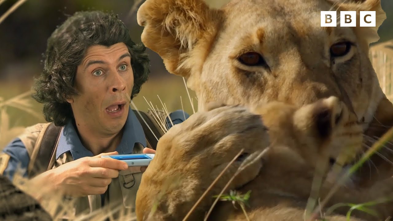 BIG Cats with Andy! | 25+ Minutes | Andy's Amazing Adventures
