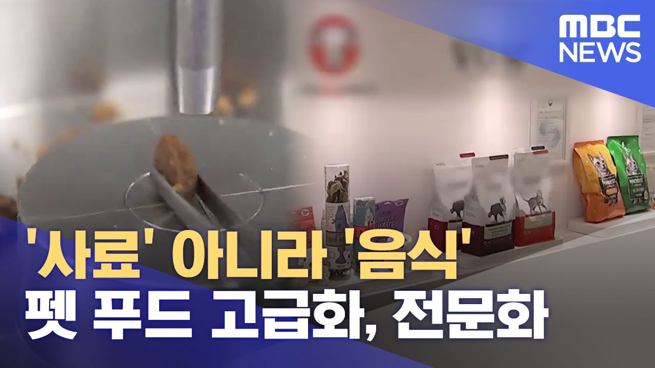 '사료' 아니라 '음식'.. 펫 푸드 고급화, 전문화 (2025.05.23/뉴스데스크/MBC충북)