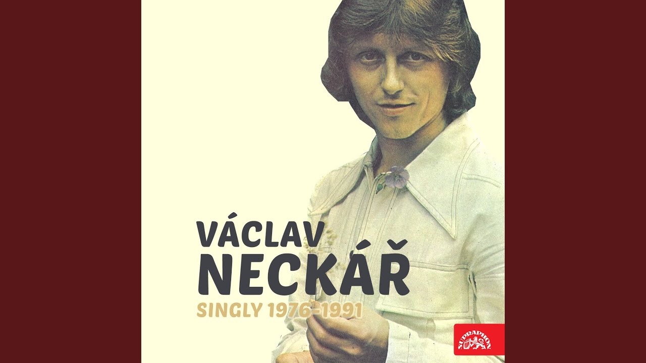 Tu kytaru jsem koupil kvůli tobě