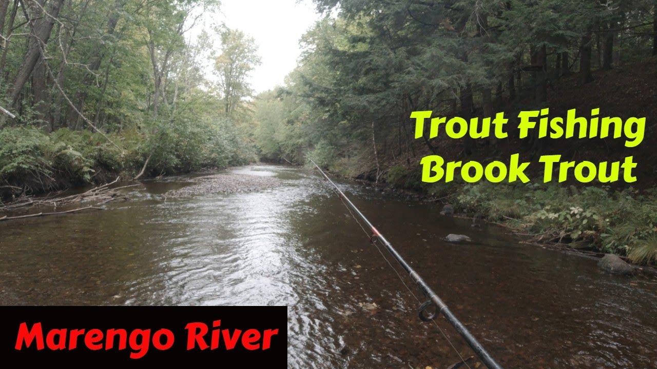 Trout Fishing the Marengo River  #fishing #trout #Wisconsinfishing #troutfishing #fishingtrip
