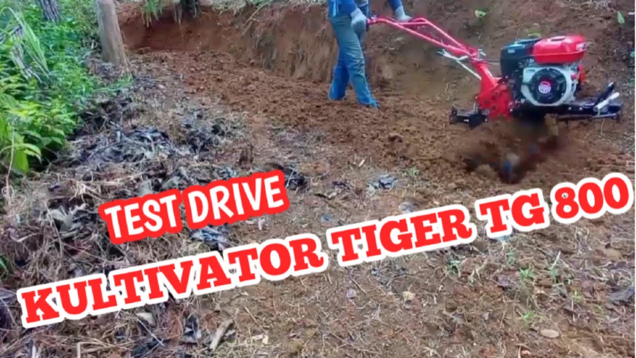 TES DRIVE MESIN KULTIVATOR TIGER TG 800 #sulihpradana