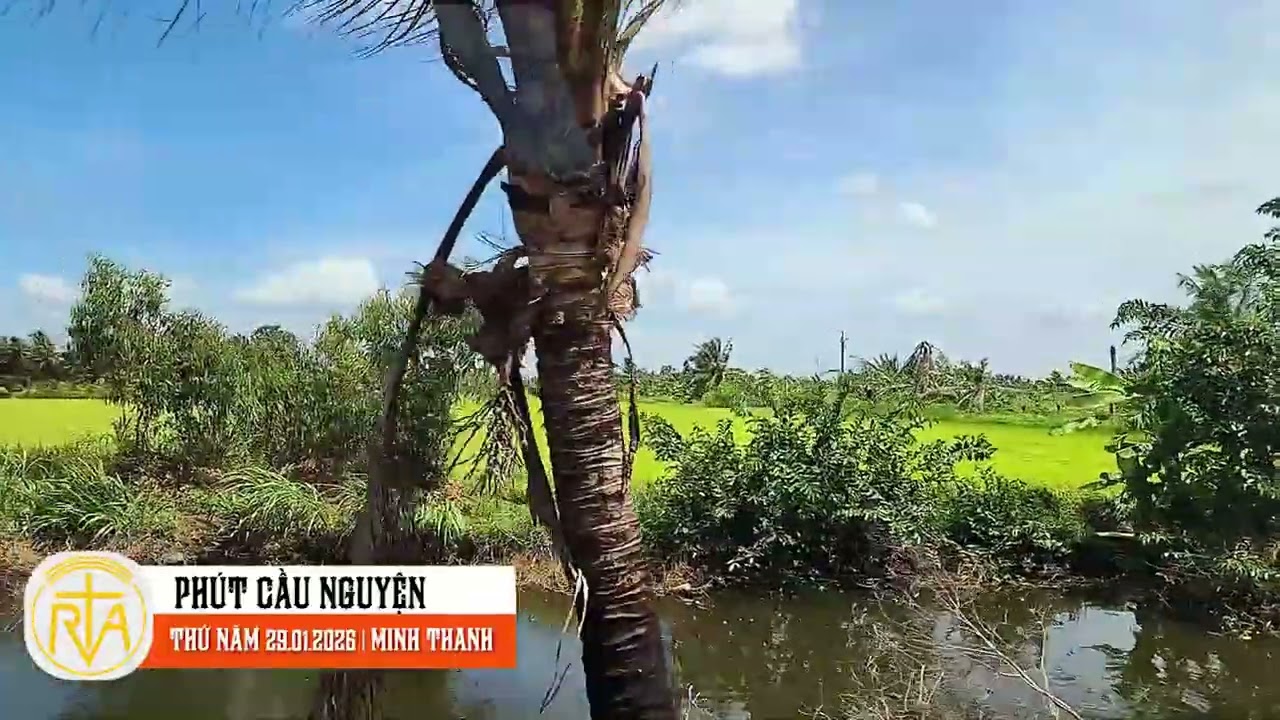 Phút Cầu Nguyện, Thứ Năm 29/01/2026: Ơn khôn ngoan thì hơn mọi báu vật