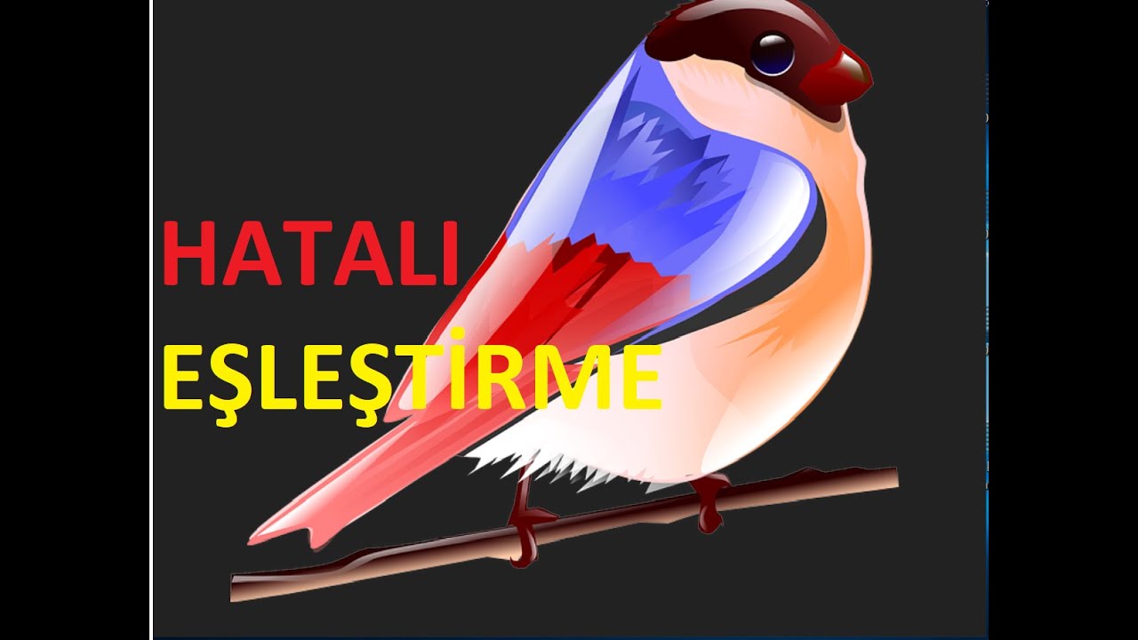 Gloster Kanarya Eşleştirme(Beyaz Eşleştirmede Yapılan Hatalar,Beyaz Beyaza Atılır mı)