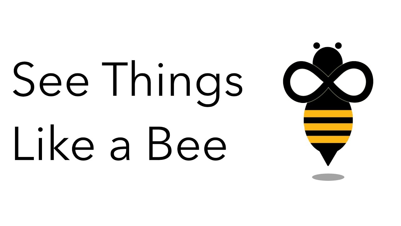Be the Bee #33 | Overcoming Laziness