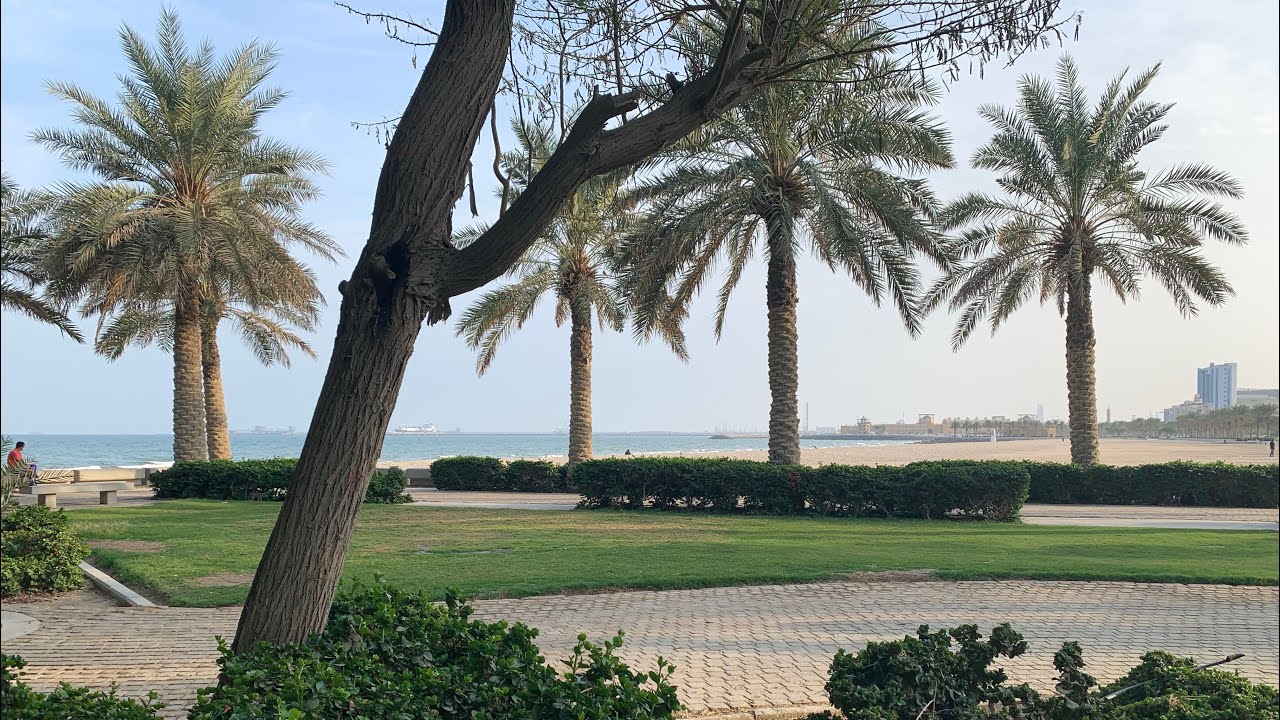 Mangaf Fahaheel Park and Beach // Kuwait // IPhone XR //