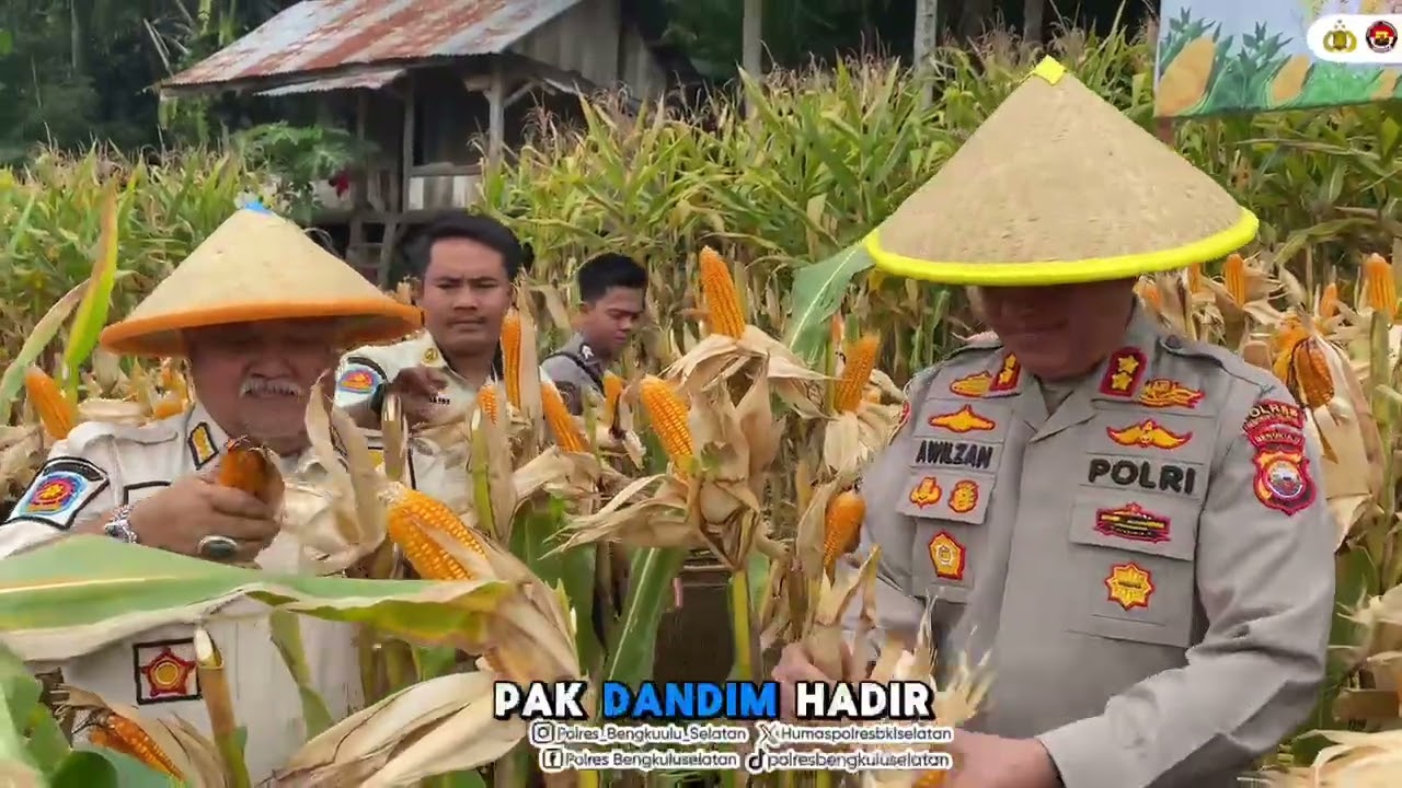 Panen Raya Jagung Serentak Kuartal I Tahun 2026 Dalam Rangka Mendukung Swasembada Pangan
