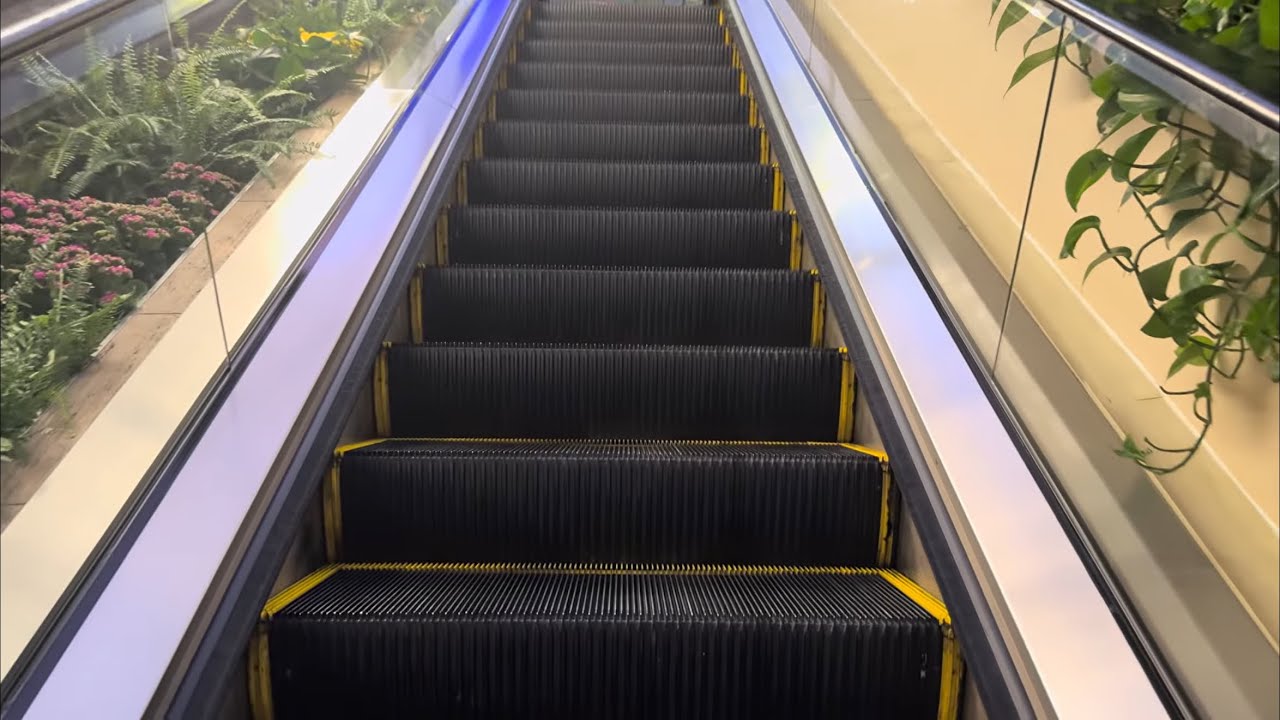Schindler 9300 Escalators 1 at Shops at Crystals Las Vegas, NV