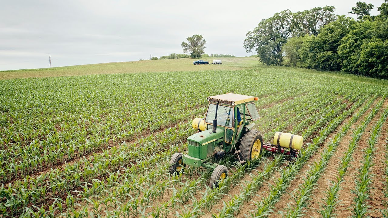Cultivating Corn - John Deere 4020