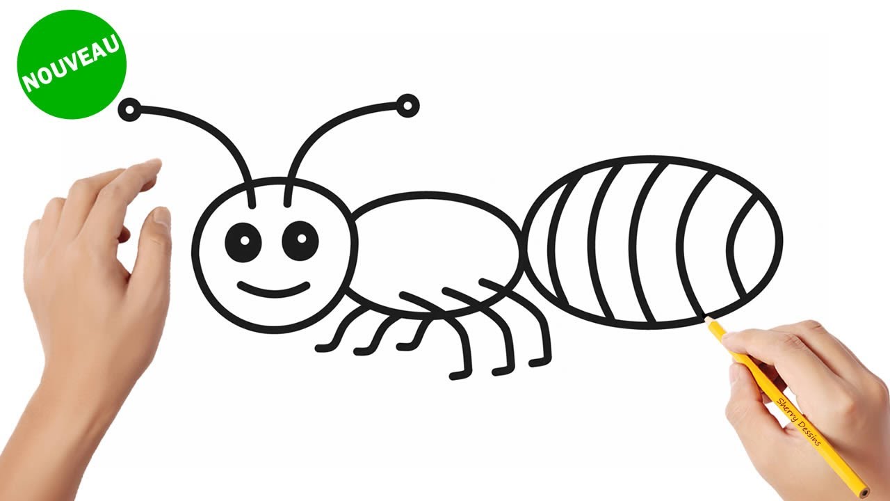 Comment dessiner une fourmi | How to draw an ant