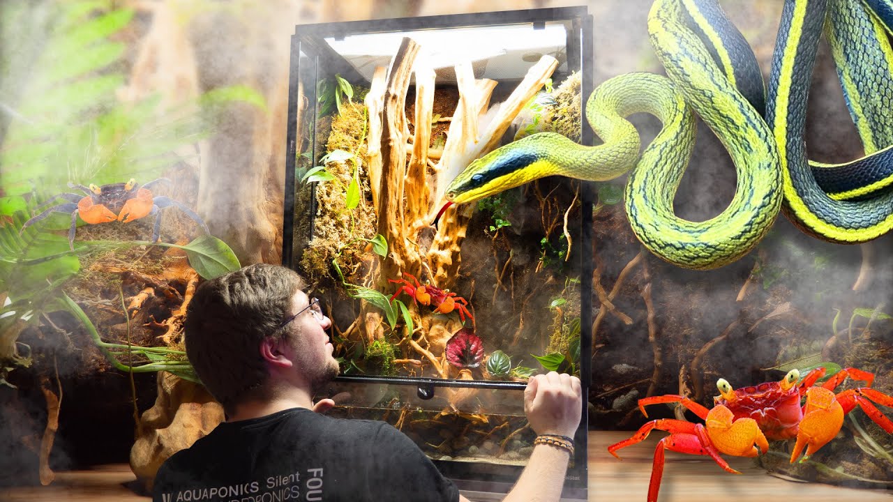 On a fait COHABITER un SERPENT et des CRABES ! (7 jours pour réaliser l'écosystème)