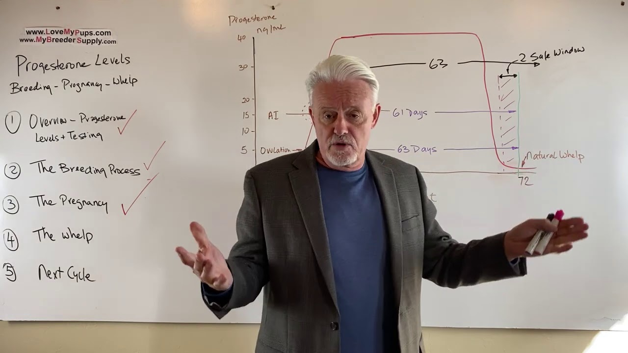 Part 4A of 5  progesterone levels & breeding