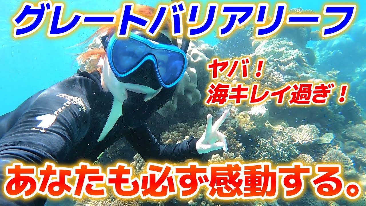 【オーストラリア最終話】グレートバリアリーフが最高すぎた。世界最大ワニの餌付けも大迫力だった！