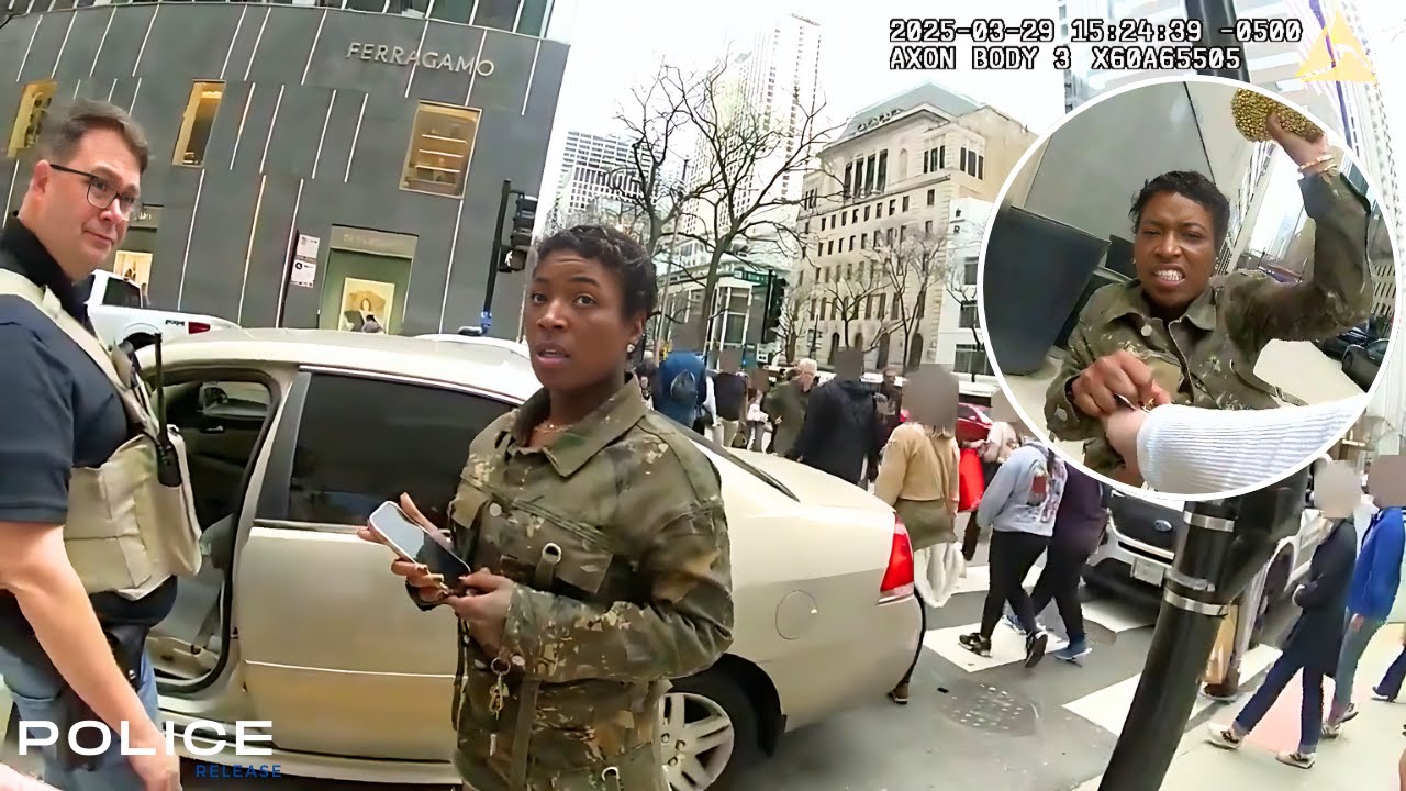 She Punches a Cop, Now She Faces the Consequences